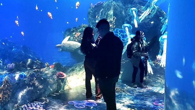 imgi_3_slider-kia-e-ground-skyluft-1